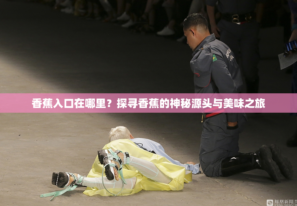 香蕉入口在哪里？探寻香蕉的神秘源头与美味之旅