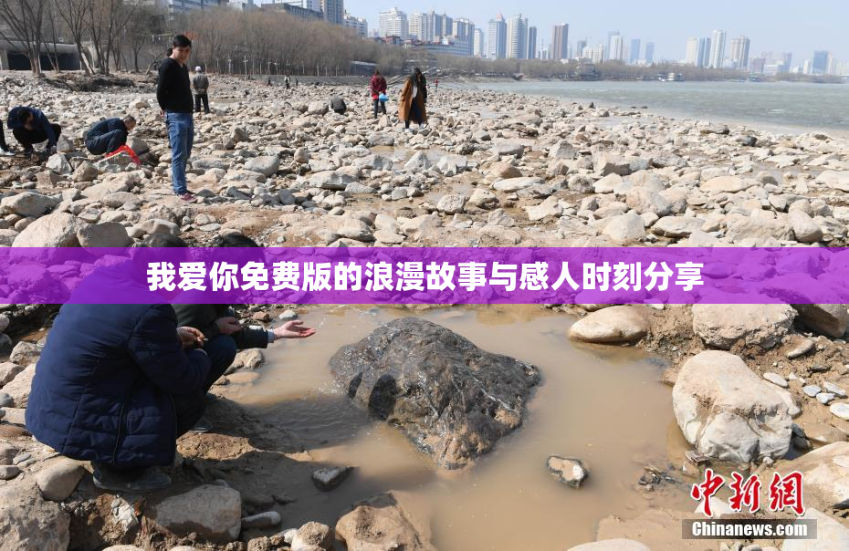 我爱你免费版的浪漫故事与感人时刻分享