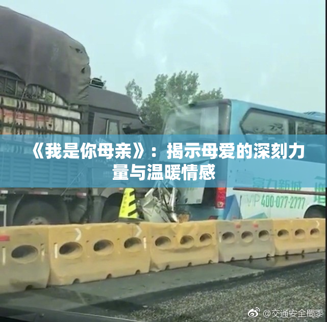 《我是你母亲》：揭示母爱的深刻力量与温暖情感