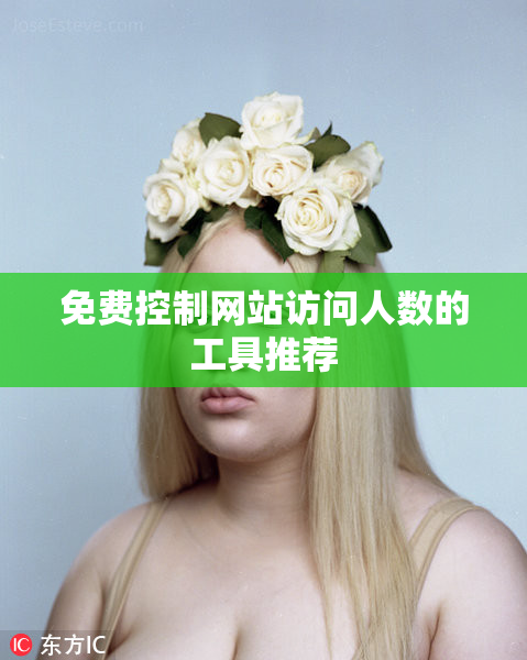 免费控制网站访问人数的工具推荐