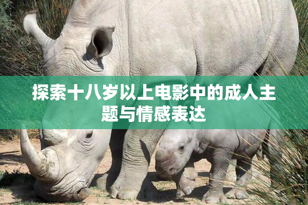 探索十八岁以上电影中的成人主题与情感表达