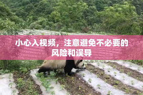 小心入视频，注意避免不必要的风险和误导