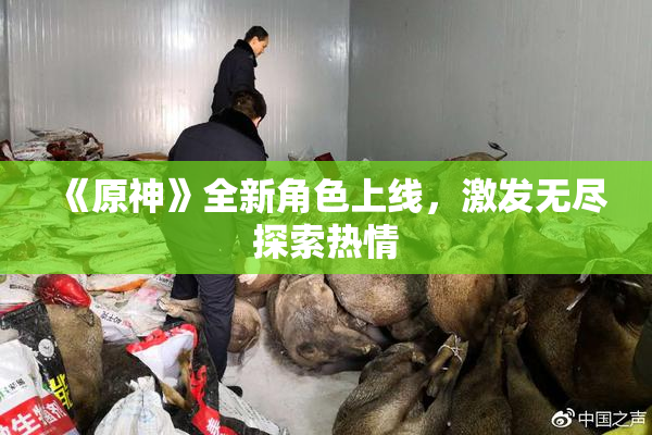 《原神》全新角色上线，激发无尽探索热情