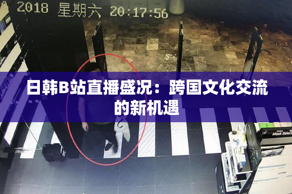 日韩B站直播盛况：跨国文化交流的新机遇