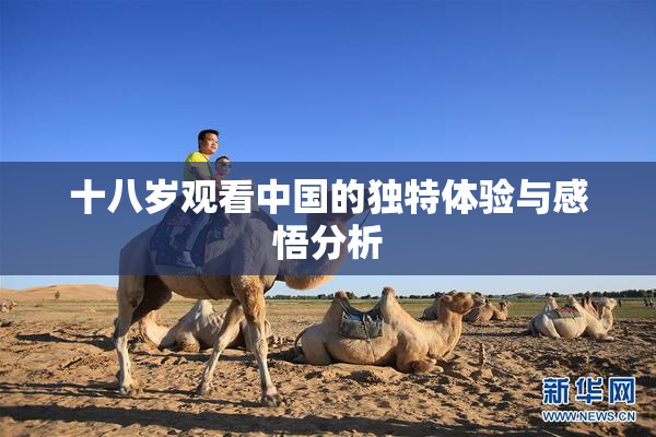 十八岁观看中国的独特体验与感悟分析