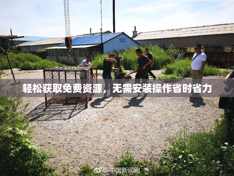 轻松获取免费资源，无需安装操作省时省力