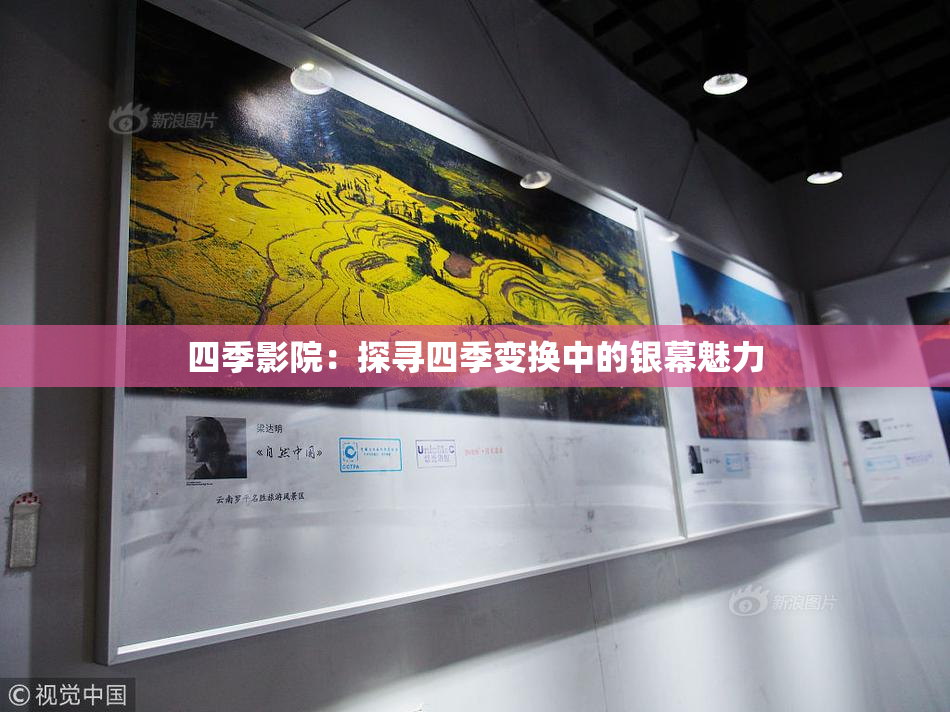 四季影院：探寻四季变换中的银幕魅力