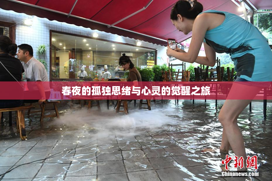 春夜的孤独思绪与心灵的觉醒之旅
