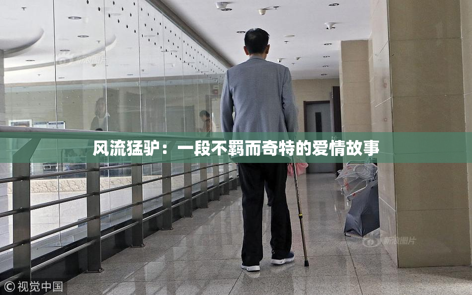 风流猛驴：一段不羁而奇特的爱情故事