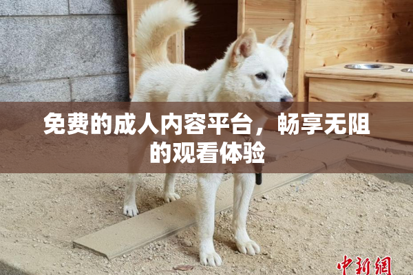 免费的成人内容平台，畅享无阻的观看体验