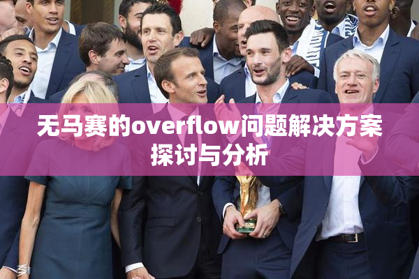 无马赛的overflow问题解决方案探讨与分析