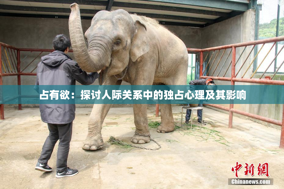 占有欲：探讨人际关系中的独占心理及其影响