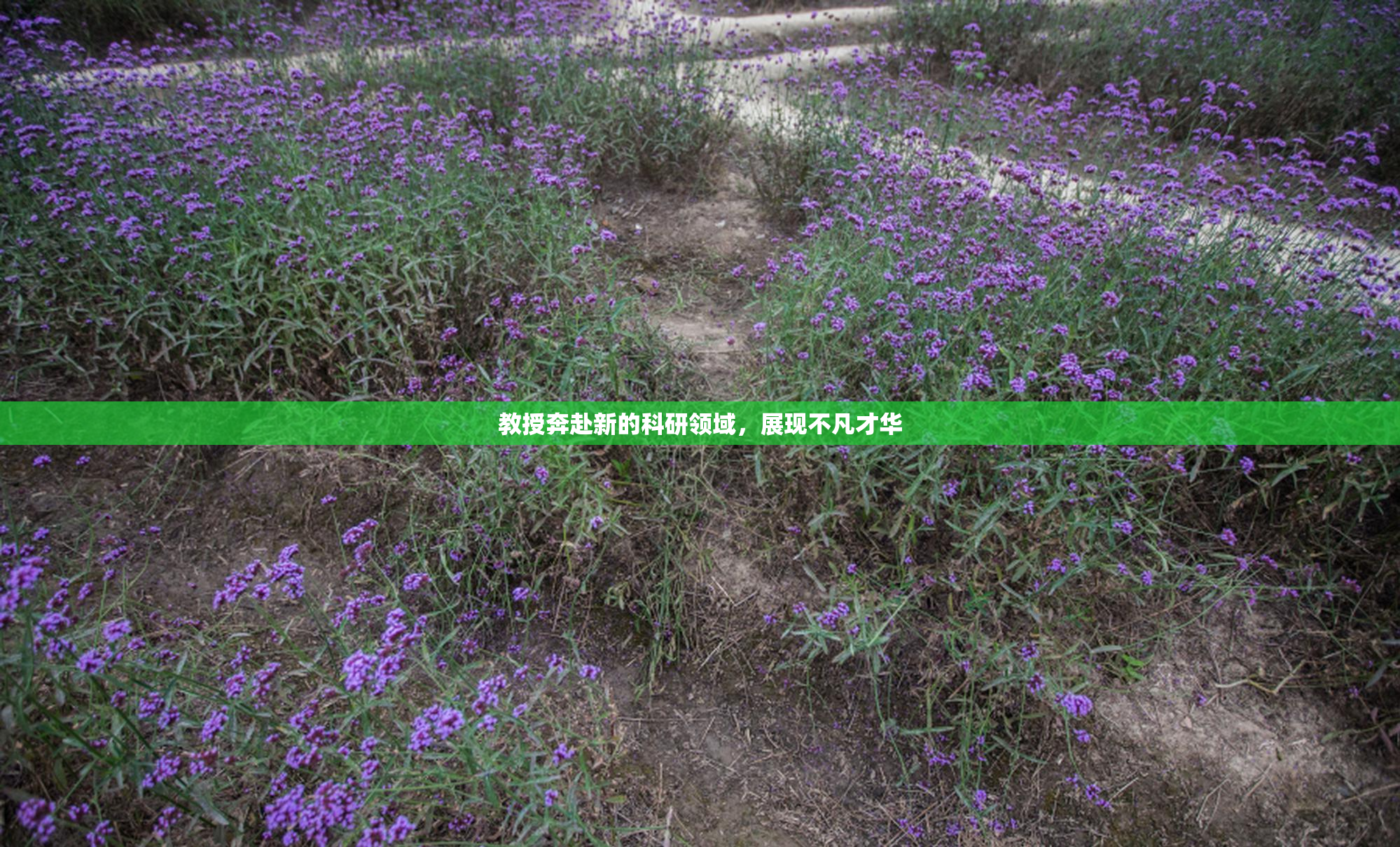 教授奔赴新的科研领域，展现不凡才华