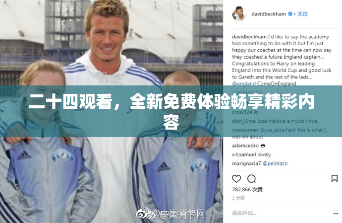 二十四观看，全新免费体验畅享精彩内容
