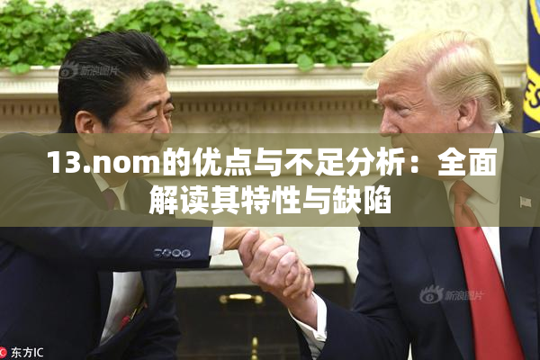13.nom的优点与不足分析：全面解读其特性与缺陷