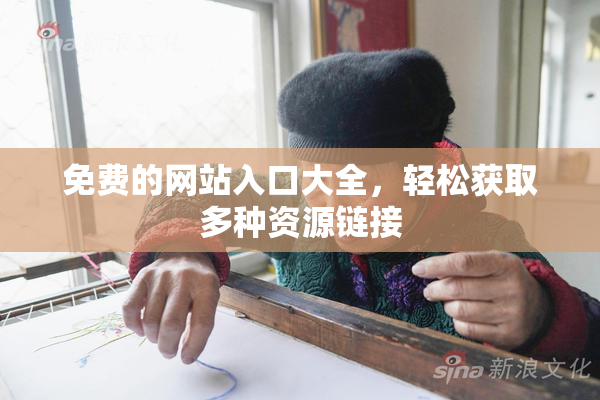 免费的网站入口大全，轻松获取多种资源链接