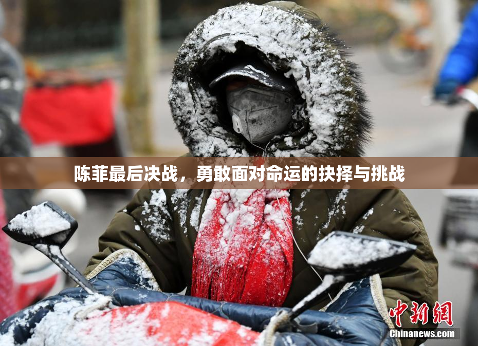 陈菲最后决战，勇敢面对命运的抉择与挑战