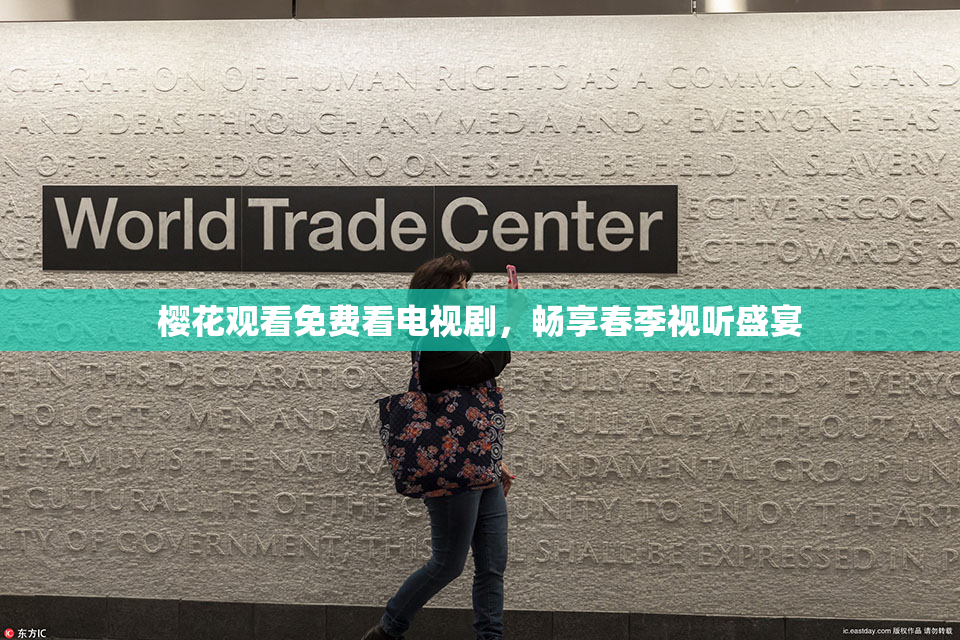 樱花观看免费看电视剧，畅享春季视听盛宴