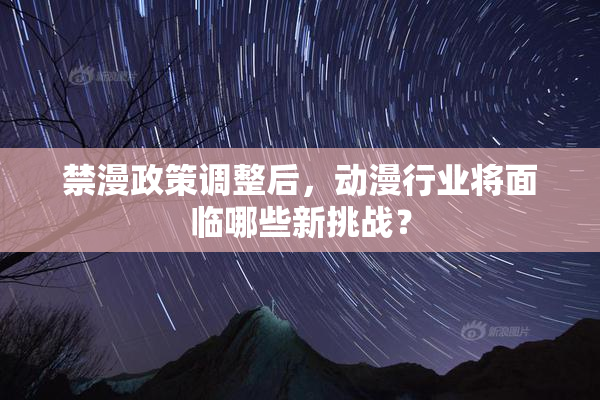 禁漫政策调整后，动漫行业将面临哪些新挑战？