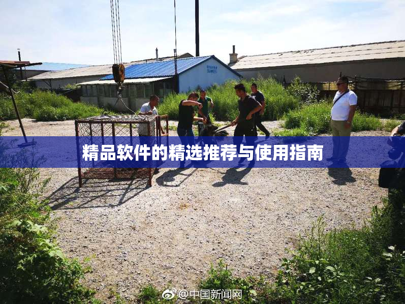 精品软件的精选推荐与使用指南