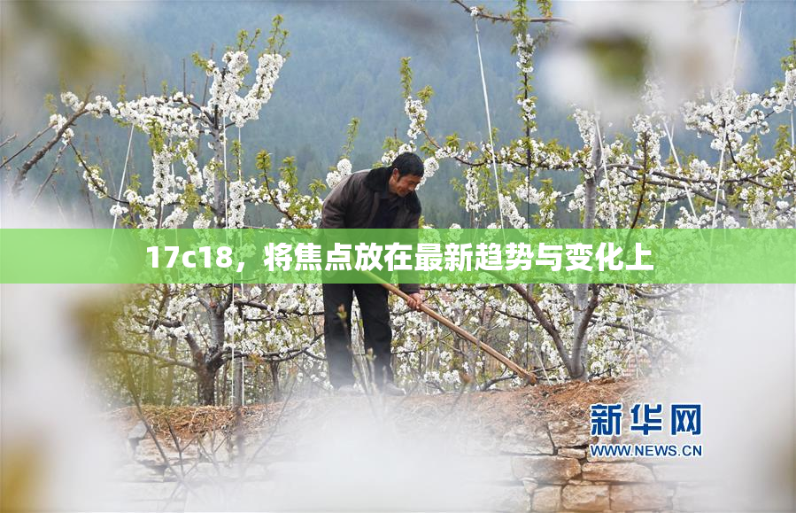 17c18，将焦点放在最新趋势与变化上