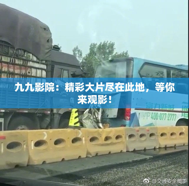 九九影院：精彩大片尽在此地，等你来观影！