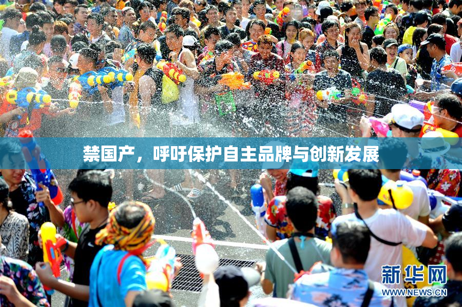 禁国产，呼吁保护自主品牌与创新发展