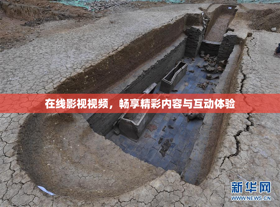 在线影视视频，畅享精彩内容与互动体验
