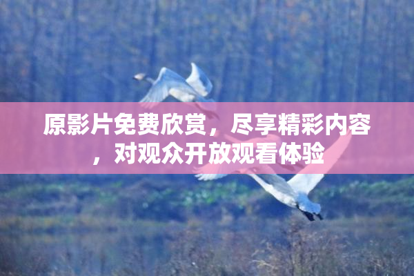 原影片免费欣赏，尽享精彩内容，对观众开放观看体验