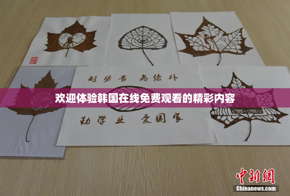 欢迎体验韩国在线免费观看的精彩内容