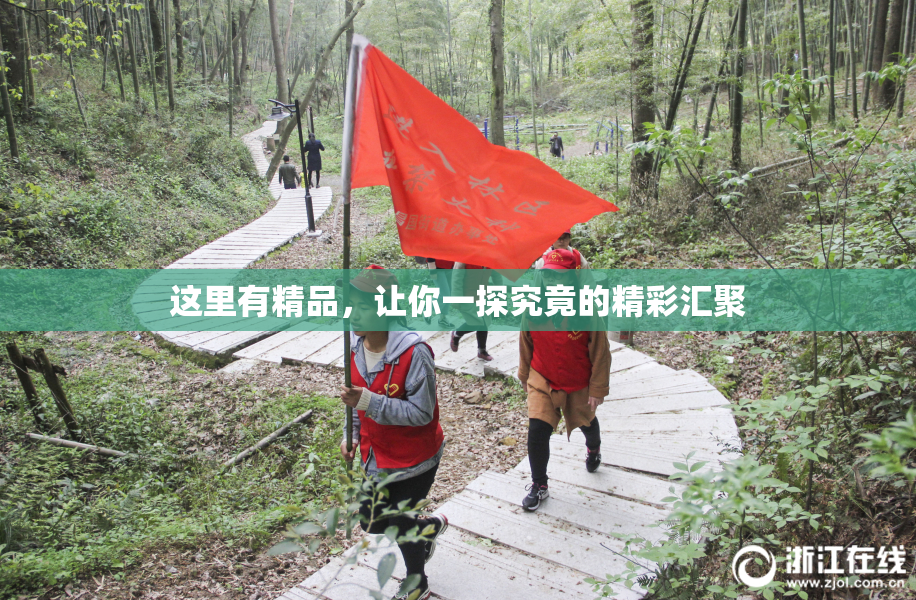 这里有精品，让你一探究竟的精彩汇聚