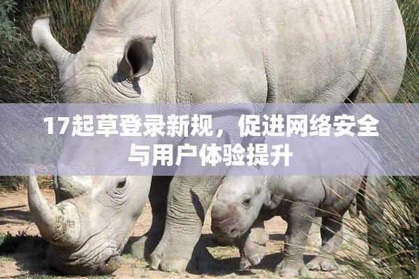 17起草登录新规，促进网络安全与用户体验提升