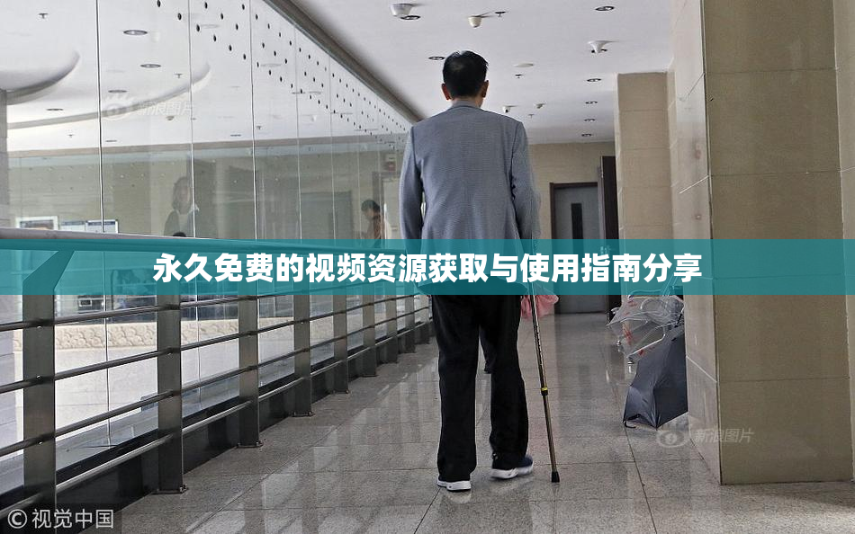 永久免费的视频资源获取与使用指南分享