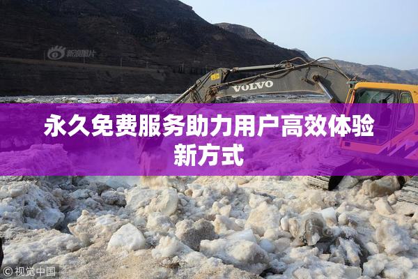 永久免费服务助力用户高效体验新方式