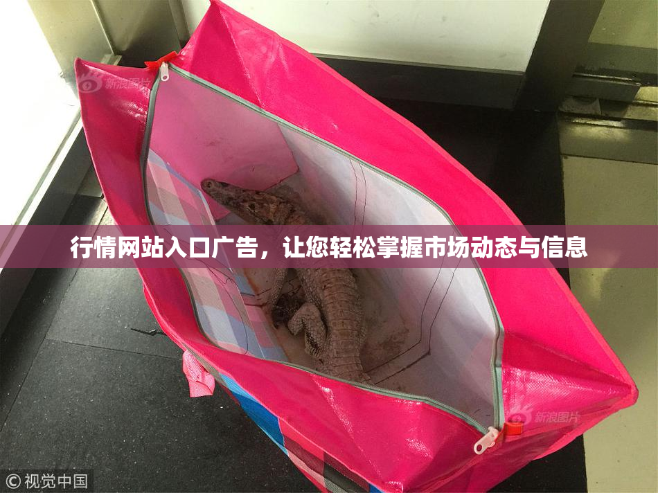 行情网站入口广告，让您轻松掌握市场动态与信息