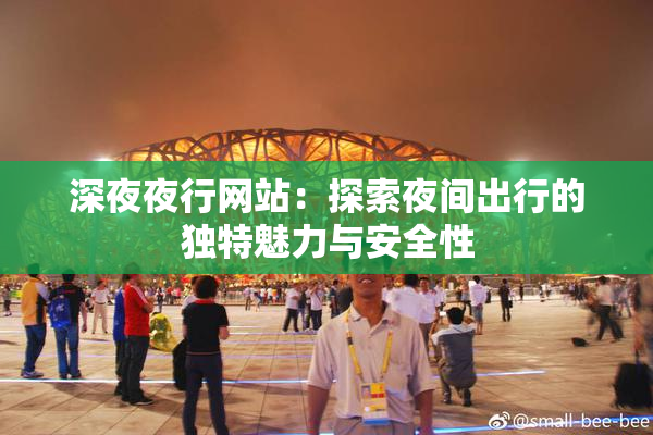 深夜夜行网站：探索夜间出行的独特魅力与安全性