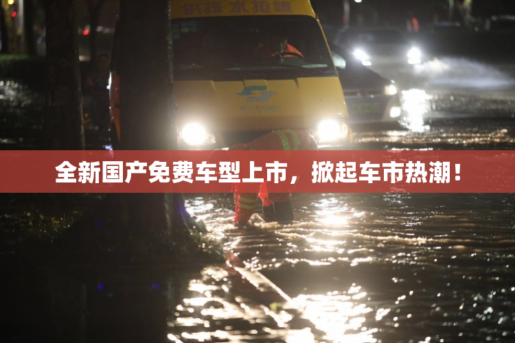 全新国产免费车型上市，掀起车市热潮！