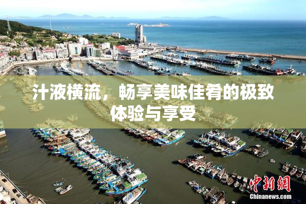 汁液横流，畅享美味佳肴的极致体验与享受