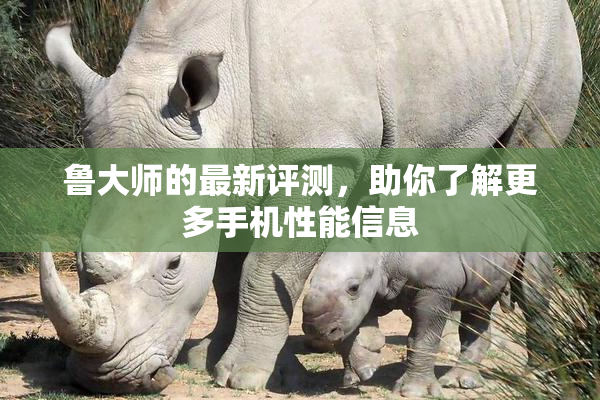 鲁大师的最新评测，助你了解更多手机性能信息