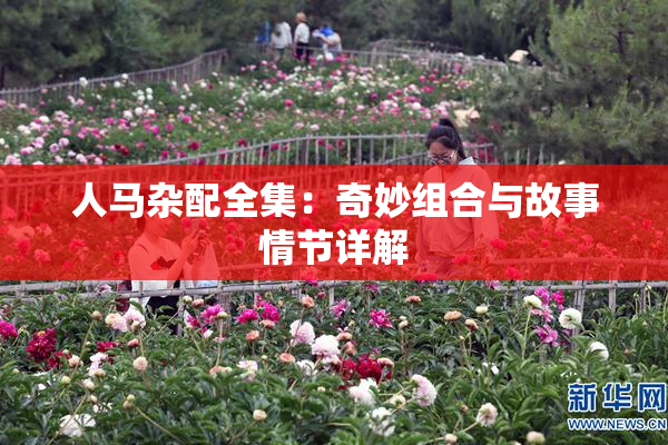 人马杂配全集：奇妙组合与故事情节详解