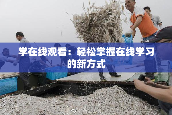 学在线观看：轻松掌握在线学习的新方式