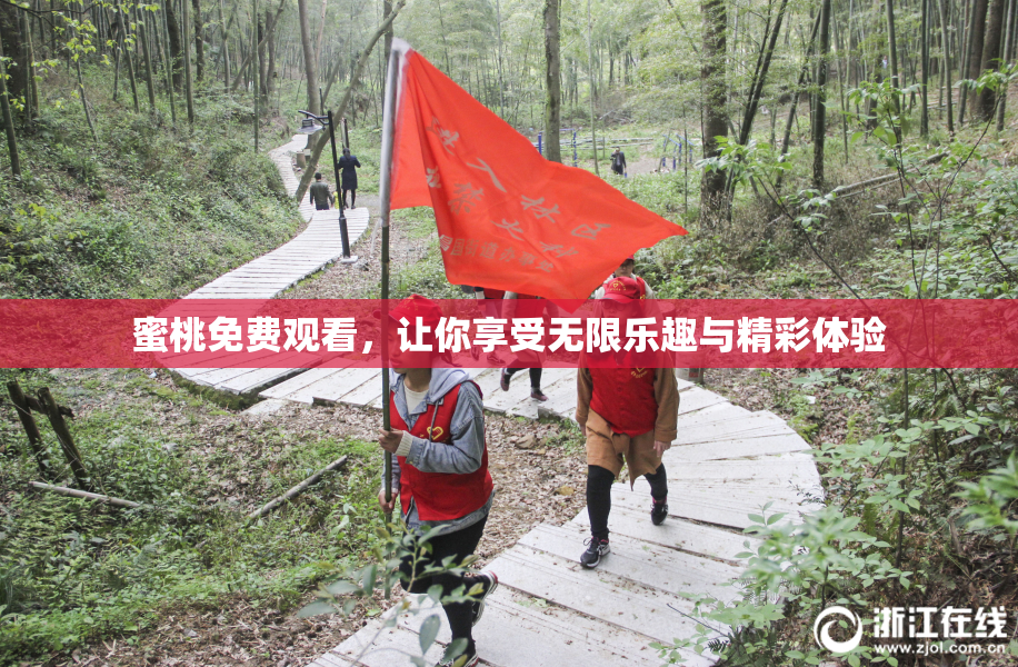 蜜桃免费观看，让你享受无限乐趣与精彩体验