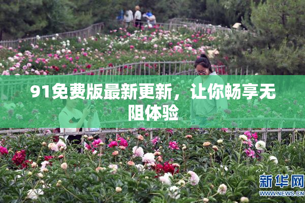91免费版最新更新，让你畅享无阻体验