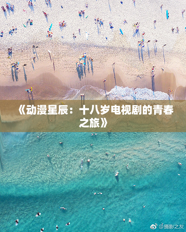《动漫星辰：十八岁电视剧的青春之旅》