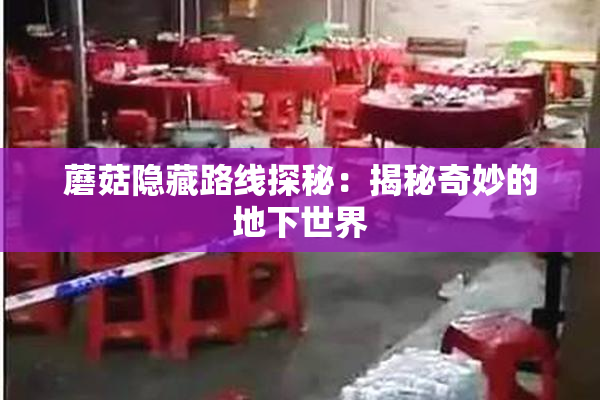 蘑菇隐藏路线探秘：揭秘奇妙的地下世界
