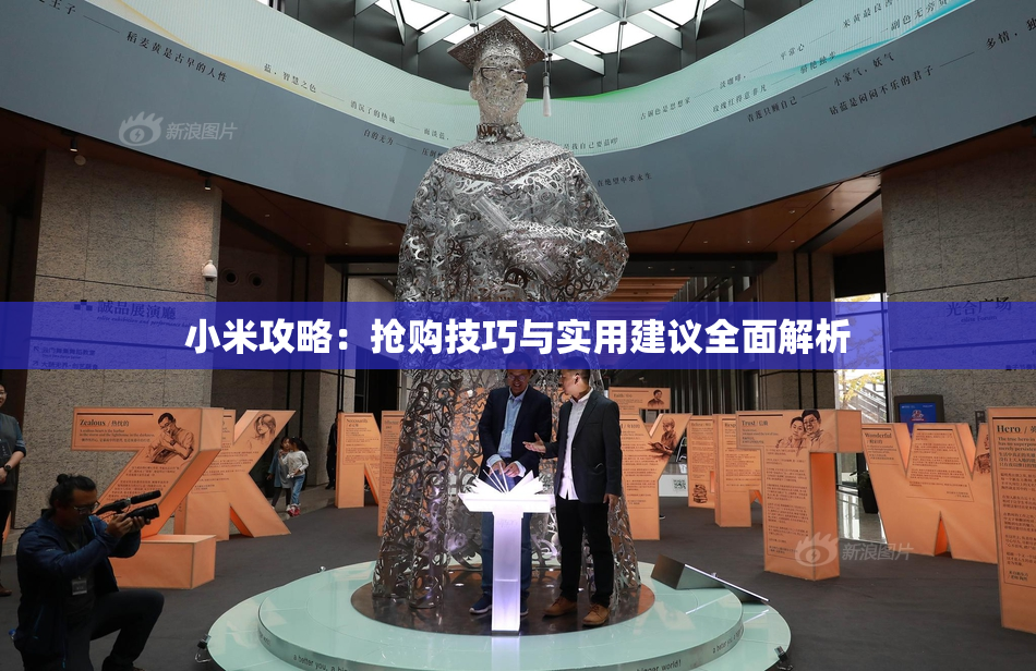 小米攻略：抢购技巧与实用建议全面解析