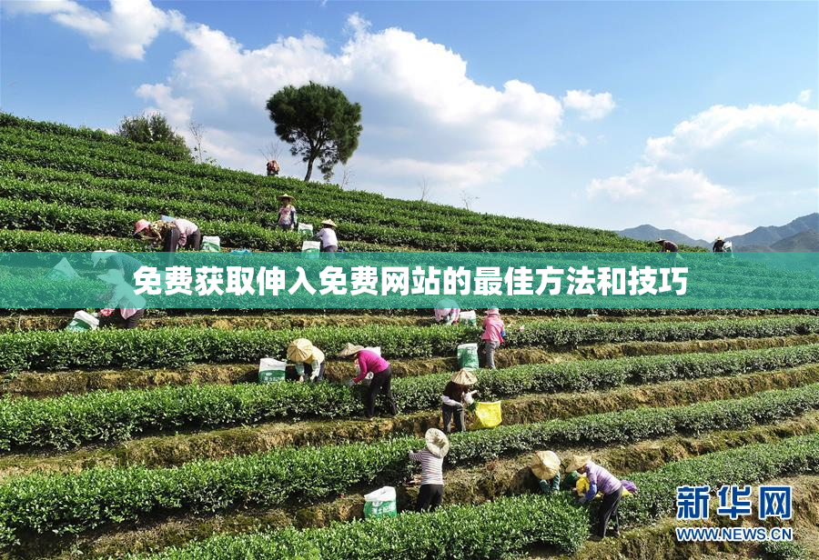 免费获取伸入免费网站的最佳方法和技巧
