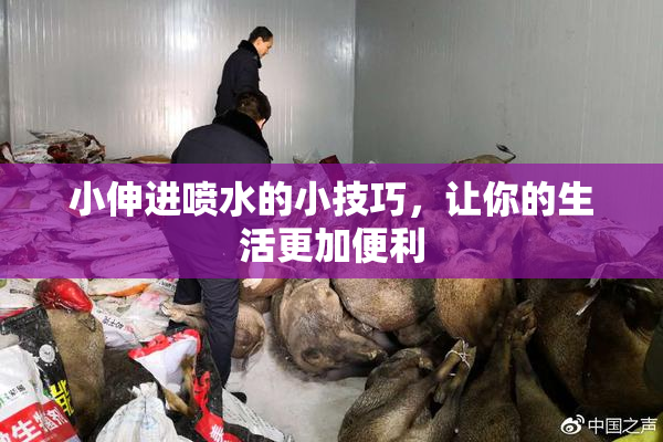 小伸进喷水的小技巧，让你的生活更加便利