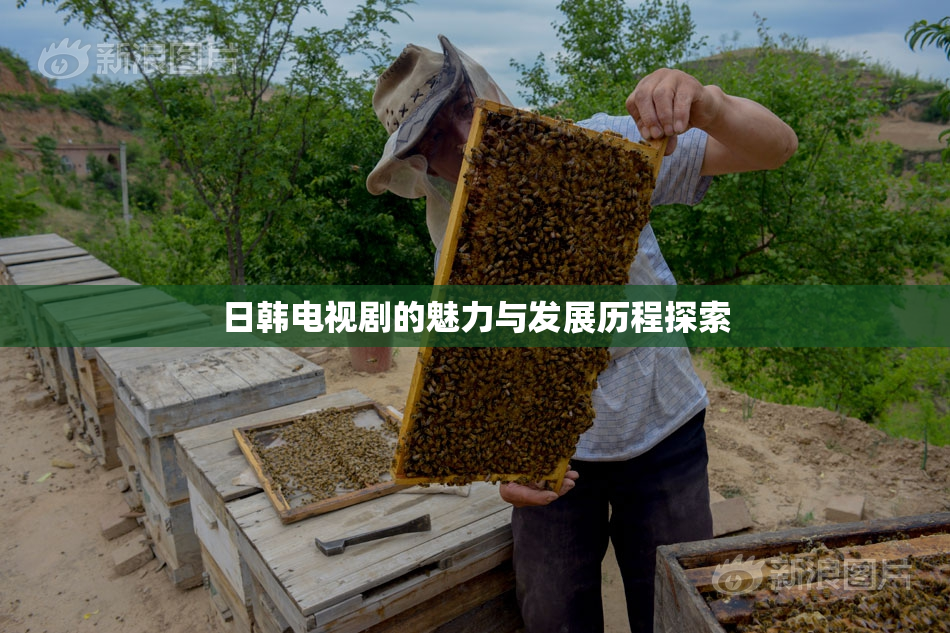 日韩电视剧的魅力与发展历程探索