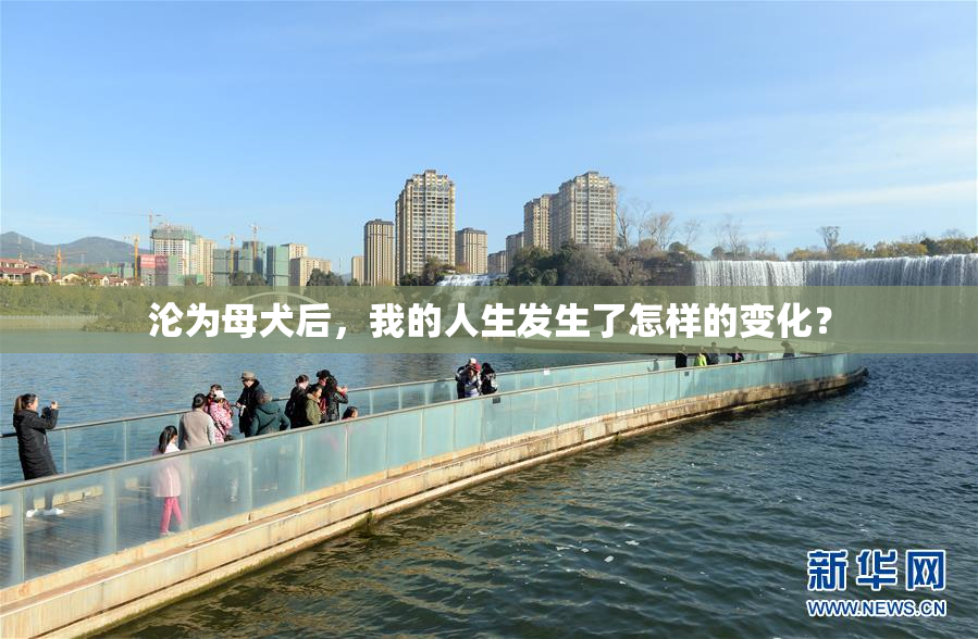 沦为母犬后，我的人生发生了怎样的变化？